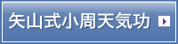 矢山式小周天気功