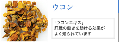 ウコン 「ウコンエキス」肝臓の働きを助ける効果がよく知られています