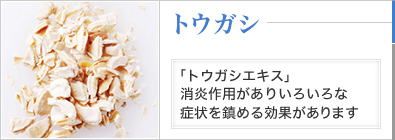 トウガシ 「トウガシエキス」消炎作用がありいろいろな症状を鎮める効果があります