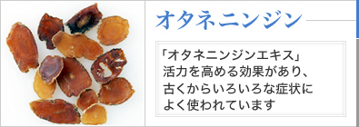 オタネニンジン 「オタネニンジンエキス」活力を高める効果があり、古くからいろいろな症状によく使われています