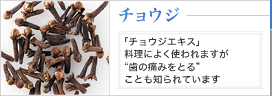 チョウジ 「チョウジエキス」料理によく使われますが“歯の痛みをとる”ことも知られています