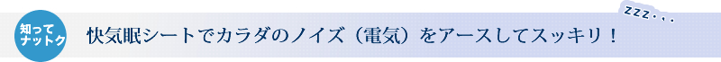 ���C���V�[�g�ŃJ���_�̃m�C�Y�i�d�C�j���A�[�X���ăX�b�L���I