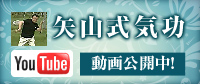 矢山式気功動画